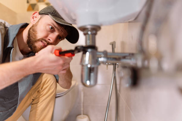 Best Clogged Drain Plumber  in Danville, IN